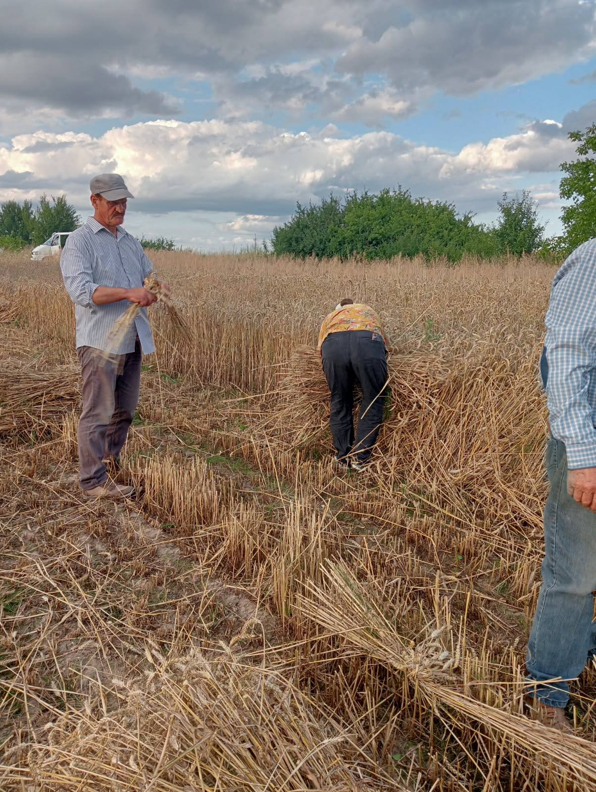 Zażynki w Rozięcinie 2025